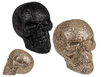 Skull with Glitter