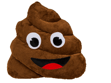 Plush cushion