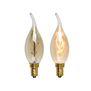 Bulb