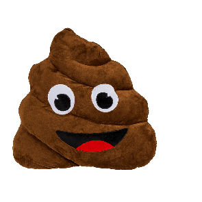 Plush cushion