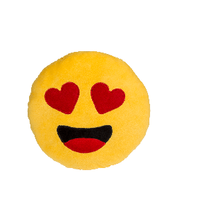 Plush cushion